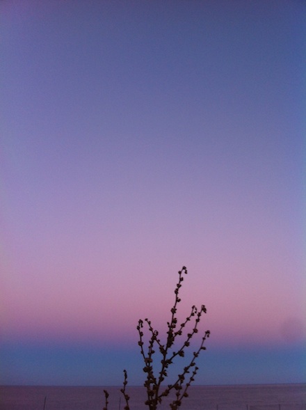 ysmf.monevasia.sunset